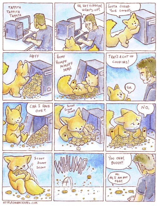 Comment Firefox gère les cookies ?