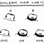 La logique booléenne expliquée par les poils
