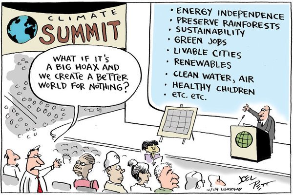 joel-pett-big-hoax.jpg