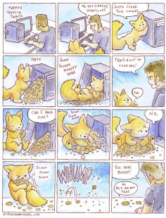 Comment Firefox gère les cookies ?